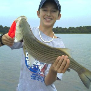 Meet your Posher, Heath